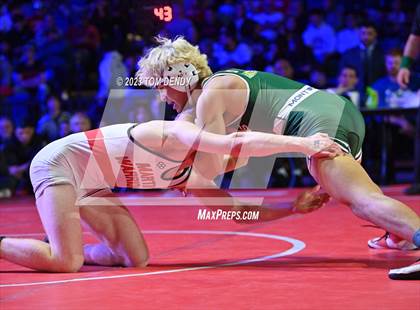 Thumbnail 2 in UIL 6A State Championships 106 lbv- 150 lb Finals photogallery.