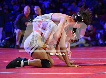 Thumbnail 1 in UIL 6A State Championships 106 lbv- 150 lb Finals photogallery.
