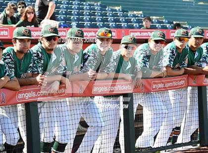 Thumbnail 2 in Kellis vs. Campo Verde (AIA 5A Final) photogallery.