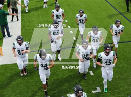 Thumbnail 3 in Cedar Park @ Cinco Ranch photogallery.