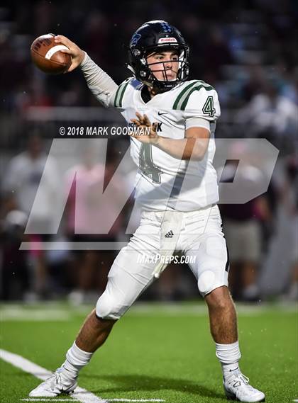 Thumbnail 2 in Cedar Park @ Cinco Ranch photogallery.