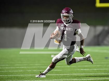 Thumbnail 1 in Cedar Park @ Cinco Ranch photogallery.