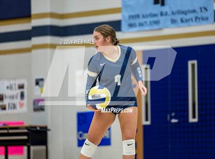 Thumbnail 1 in Harding Academy @ Arlington photogallery.