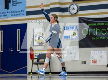 Thumbnail 3 in Harding Academy @ Arlington photogallery.