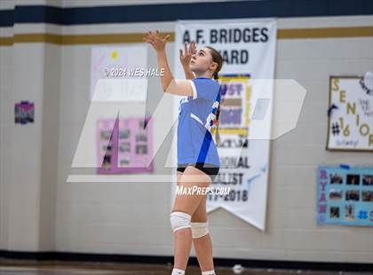 Thumbnail 2 in Harding Academy @ Arlington photogallery.