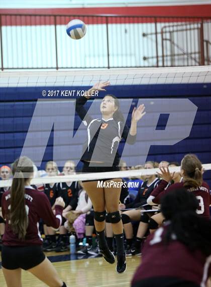Thumbnail 1 in Mott vs Utica photogallery.