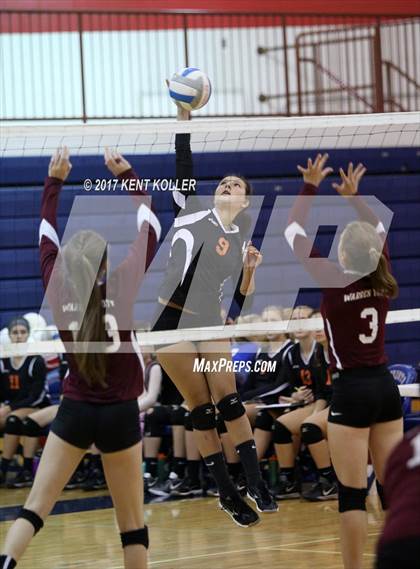 Thumbnail 2 in Mott vs Utica photogallery.