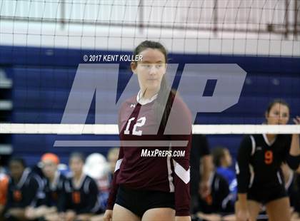 Thumbnail 1 in Mott vs Utica photogallery.