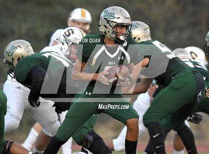 Thumbnail 2 in Sonora @ Brea Olinda photogallery.
