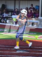 Photo from the gallery "Chouteau-Mazie @ Warner"