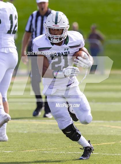 Thumbnail 1 in DePaul Catholic @ Pope John XXIII photogallery.