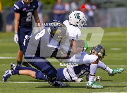 Thumbnail 3 in DePaul Catholic @ Pope John XXIII photogallery.