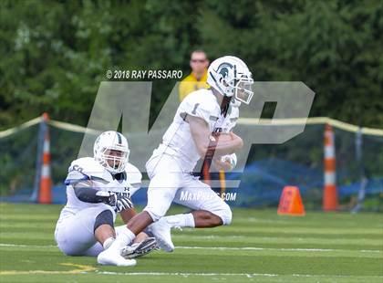 Thumbnail 1 in DePaul Catholic @ Pope John XXIII photogallery.