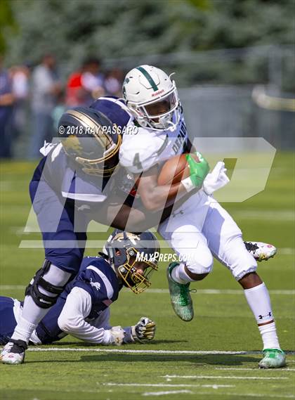 Thumbnail 1 in DePaul Catholic @ Pope John XXIII photogallery.