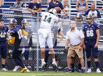 Thumbnail 3 in DePaul Catholic @ Pope John XXIII photogallery.