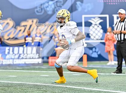 Thumbnail 2 in Chaminade-Madonna vs. Cardinal Newman (FHSAA 1A Final) photogallery.