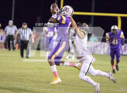 Thumbnail 3 in Hernando @ DeSoto Central photogallery.