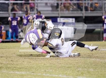 Thumbnail 3 in Hernando @ DeSoto Central photogallery.