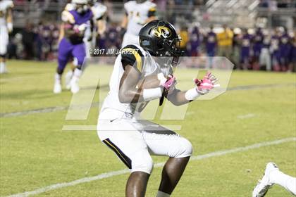 Thumbnail 3 in Hernando @ DeSoto Central photogallery.