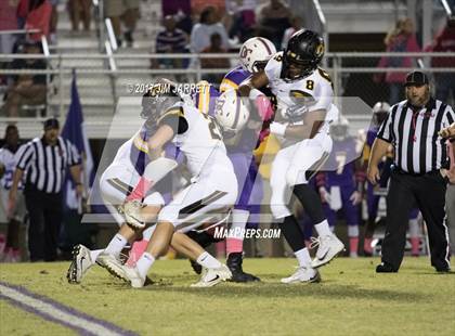 Thumbnail 1 in Hernando @ DeSoto Central photogallery.