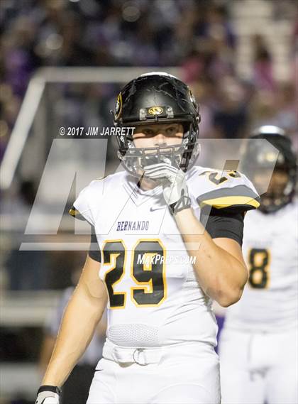 Thumbnail 3 in Hernando @ DeSoto Central photogallery.