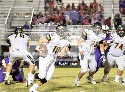 Thumbnail 1 in Hernando @ DeSoto Central photogallery.