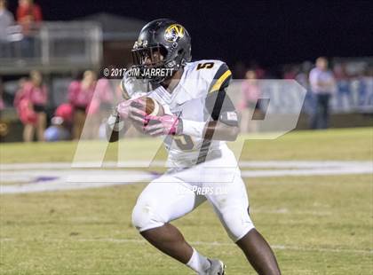 Thumbnail 3 in Hernando @ DeSoto Central photogallery.