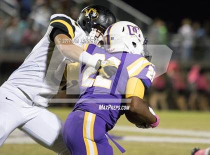 Thumbnail 1 in Hernando @ DeSoto Central photogallery.