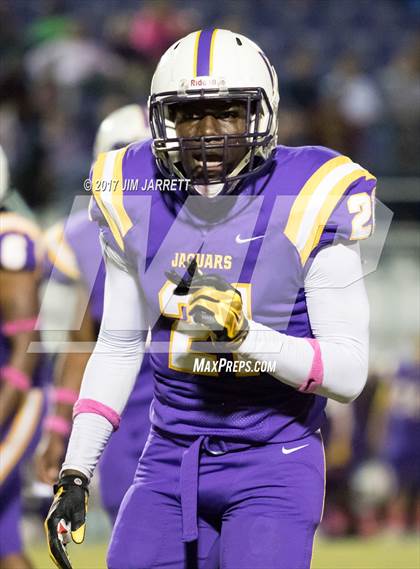 Thumbnail 1 in Hernando @ DeSoto Central photogallery.