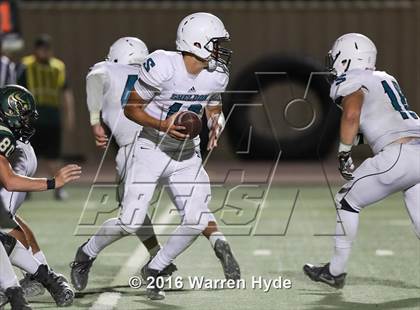 Thumbnail 1 in Sheldon @ Monterey Trail photogallery.