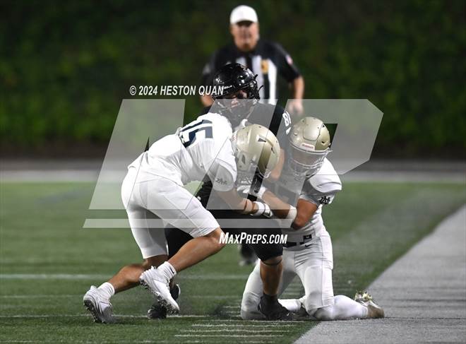 null - Photo 41