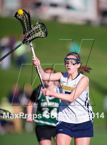 Thumbnail 2 in Westwood @ Needham photogallery.