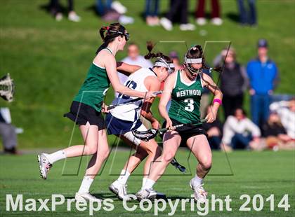 Thumbnail 1 in Westwood @ Needham photogallery.