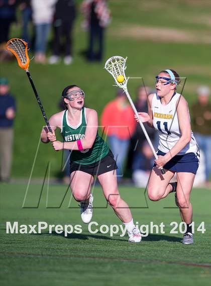 Thumbnail 1 in Westwood @ Needham photogallery.