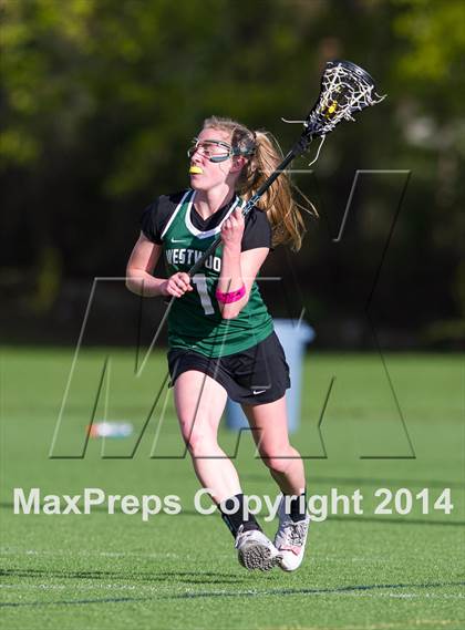 Thumbnail 3 in Westwood @ Needham photogallery.