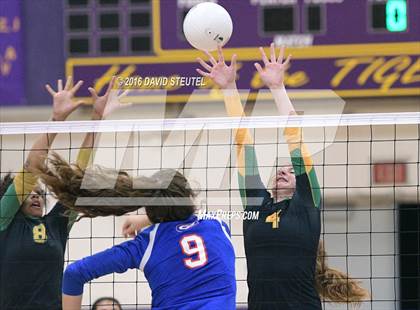 Thumbnail 1 in Sonora vs. Christian Brothers (CIF SJS D3 Final) photogallery.