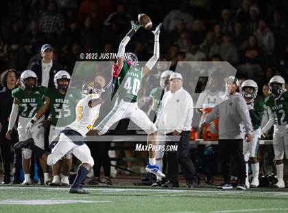 Thumbnail 3 in El Camino @ Helix (CIF SDS D1 Quarterfinal) photogallery.