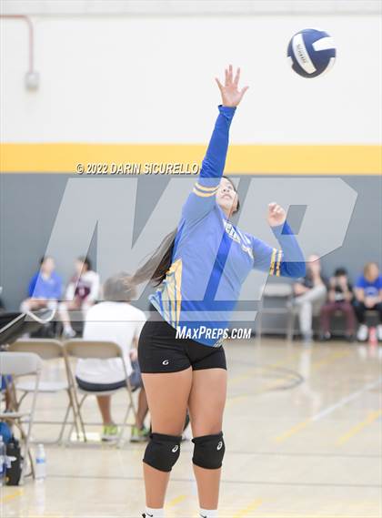 Thumbnail 3 in Fort Thomas vs Benjamin Franklin (Epic Tourneys Volleyball Invite) photogallery.
