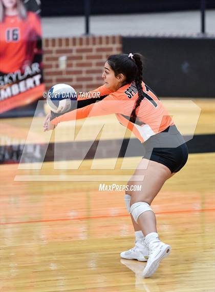 Thumbnail 1 in Springtown @ Aledo photogallery.