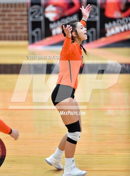 Thumbnail 3 in Springtown @ Aledo photogallery.
