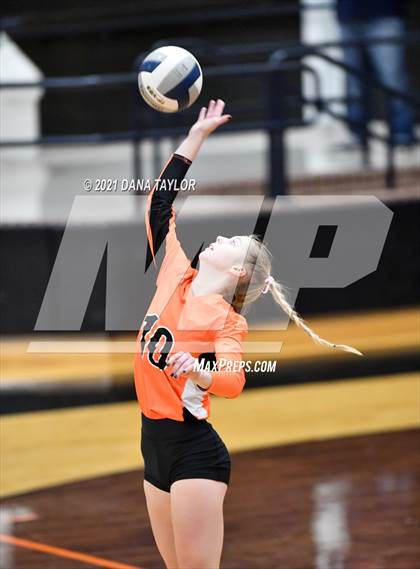 Thumbnail 3 in Springtown @ Aledo photogallery.