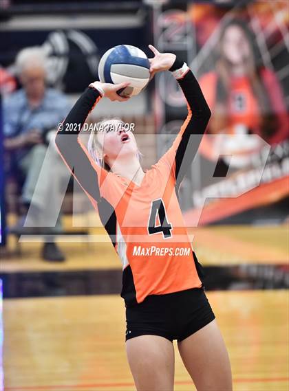 Thumbnail 3 in Springtown @ Aledo photogallery.