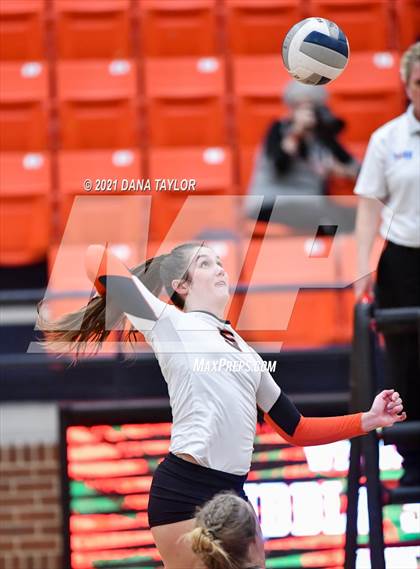 Thumbnail 3 in Springtown @ Aledo photogallery.