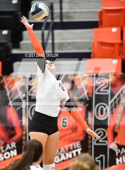 Thumbnail 1 in Springtown @ Aledo photogallery.