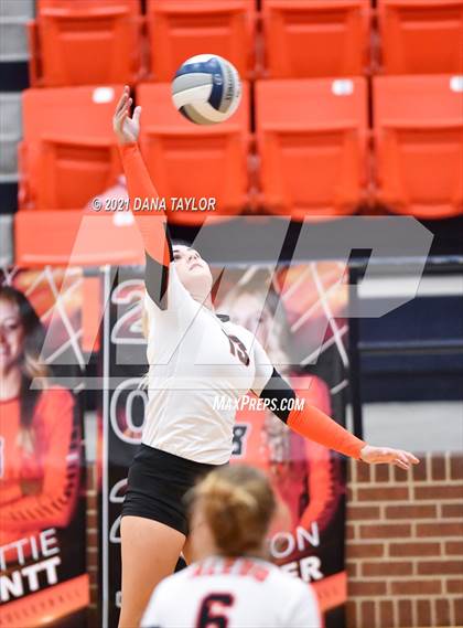 Thumbnail 2 in Springtown @ Aledo photogallery.
