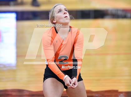 Thumbnail 2 in Springtown @ Aledo photogallery.