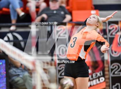 Thumbnail 1 in Springtown @ Aledo photogallery.