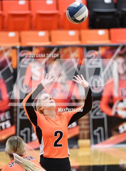 Thumbnail 3 in Springtown @ Aledo photogallery.