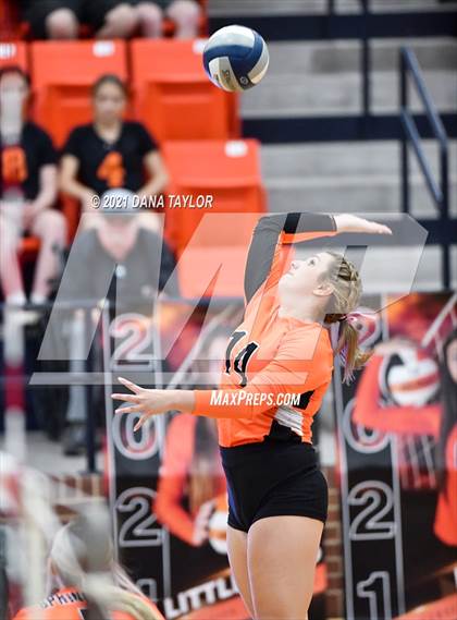 Thumbnail 2 in Springtown @ Aledo photogallery.