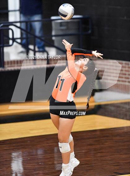 Thumbnail 2 in Springtown @ Aledo photogallery.